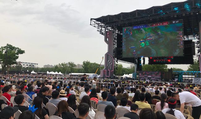 弗格的组织 弗格的组织